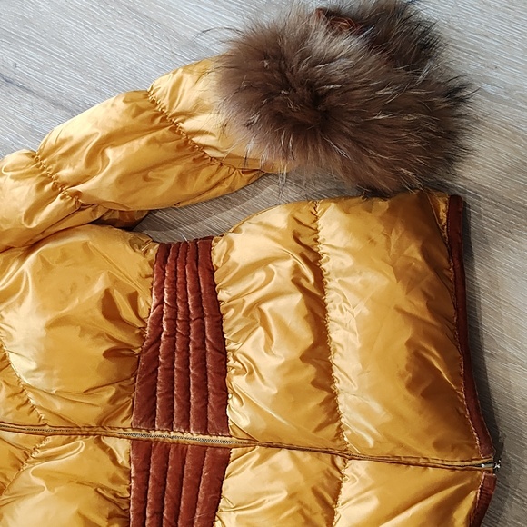 Yellow jacket - Picture 3 of 6